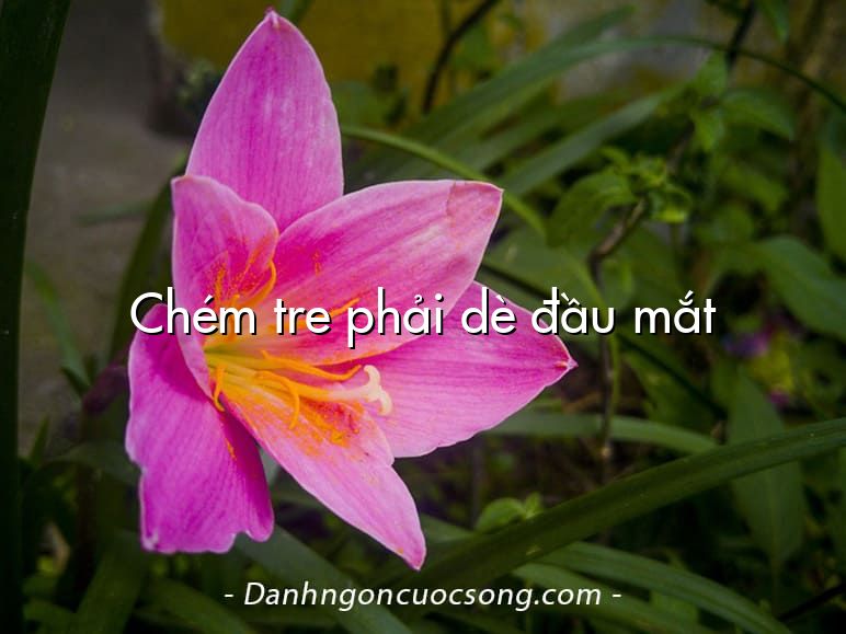 Chém tre phải dè đầu mắt