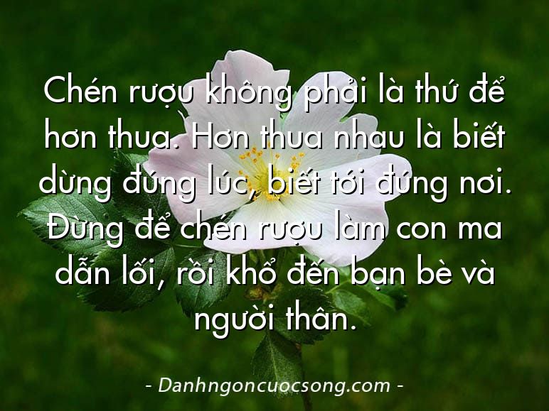 Chén rượu không phải là thứ để hơn thua. Hơn thua nhau là biết dừng đúng lúc, biết tới đúng nơi. Đừng để chén rượu làm con ma dẫn lối, rồi khổ đến bạn bè và người thân.