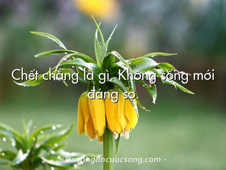 Chết chẳng là gì. Không sống mới đáng sợ.