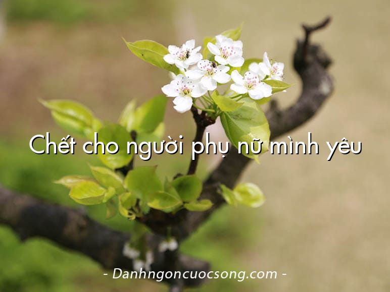 Chết cho người phụ nữ mình yêu