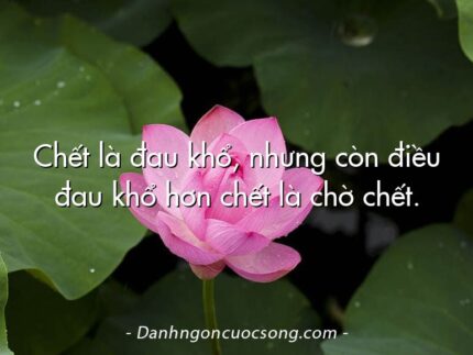Chết là đau khổ, nhưng còn điều đau khổ hơn chết là chờ chết.