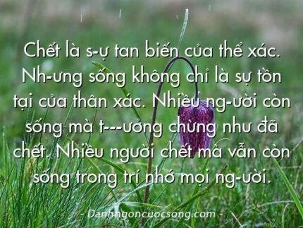 Chết là s­ự tan biến của thể xác. Nh­ưng sống không chỉ là sự tồn tại của thân xác. Nhiều ng­ười còn sống mà t­­­ưởng chừng như đã chết. Nhiều người chết mà vẫn còn sống trong trí nhớ mọi ng­ười.