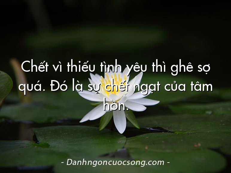 Chết vì thiếu tình yêu thì ghê sợ quá. Đó là sự chết ngạt của tâm hồn.