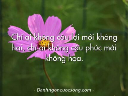 Chỉ ai không cầu lợi mới không hại, chỉ ai không cầu phúc mới không họa.