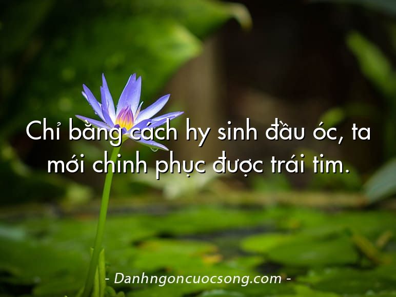 Chỉ bằng cách hy sinh đầu óc, ta mới chinh phục được trái tim.