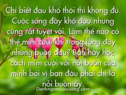 Chỉ biết đau khổ thôi thì không đủ. Cuộc sống đầy khổ đau nhưng cũng rất tuyệt vời. Làm thế nào có thể mỉm cười khi trong lòng đầy những buồn đau? Bạn hãy học cách mỉm cười với nỗi buồn của mình bởi vì bạn đâu phải chỉ là nỗi buồn ấy.