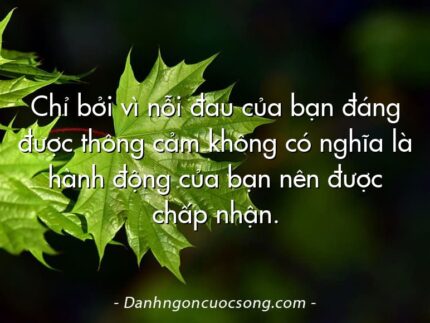 Chỉ bởi vì nỗi đau của bạn đáng được thông cảm không có nghĩa là hành động của bạn nên được chấp nhận.