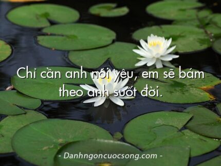 Chỉ cần anh nói yêu, em sẽ bám theo anh suốt đời.