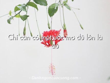 Chỉ cần có một ước mơ đủ lớn là đủ