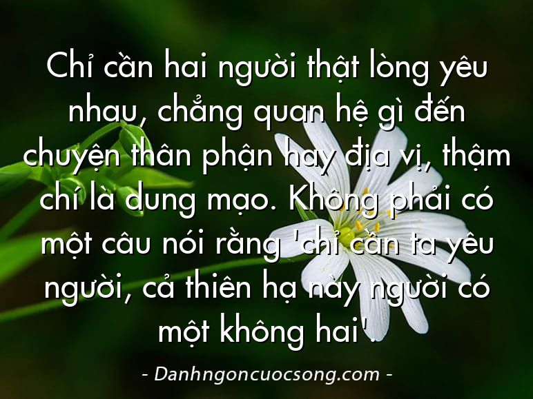 Chỉ cần hai người thật lòng yêu nhau, chẳng quan hệ gì đến chuyện thân phận hay địa vị, thậm chí là dung mạo. Không phải có một câu nói rằng 'chỉ cần ta yêu người, cả thiên hạ này người có một không hai'.