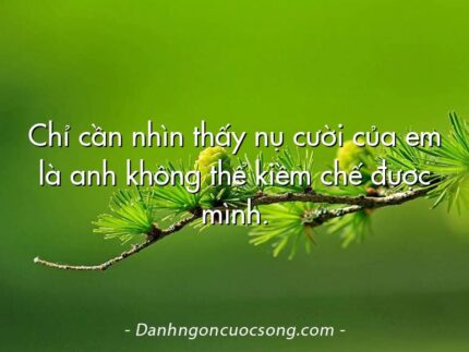 Chỉ cần nhìn thấy nụ cười của em là anh không thể kiềm chế được mình.