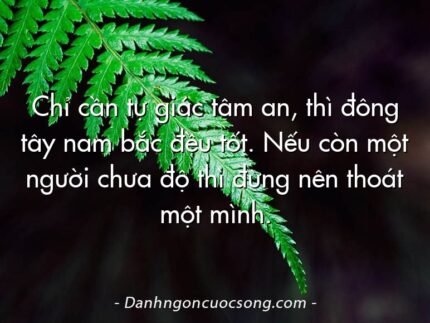 Chỉ cần tự giác tâm an, thì đông tây nam bắc đều tốt. Nếu còn một người chưa độ thì đừng nên thoát một mình.