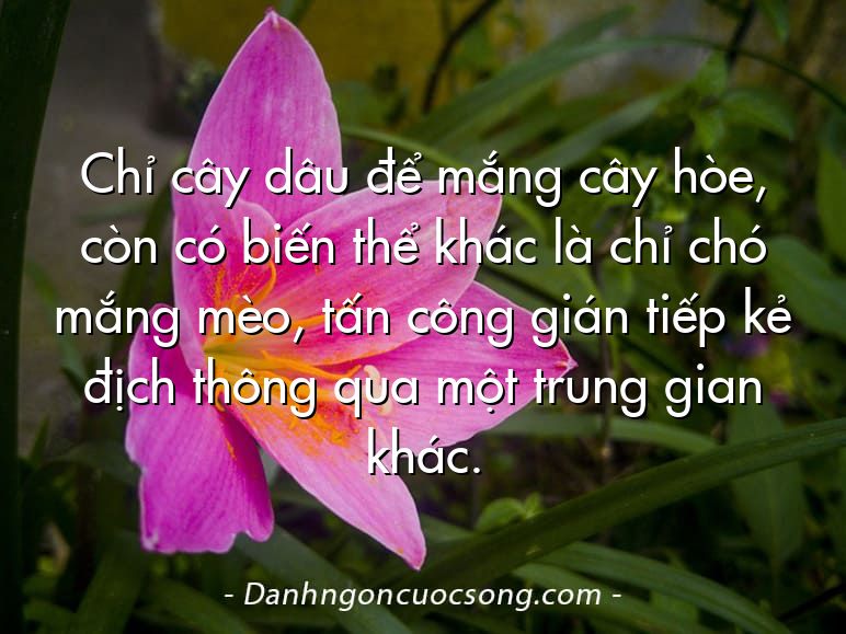 Chỉ cây dâu để mắng cây hòe, còn có biến thể khác là chỉ chó mắng mèo, tấn công gián tiếp kẻ địch thông qua một trung gian khác.