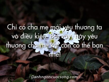 Chỉ có cha mẹ mới yêu thương ta vô điều kiện. Bởi vậy, hãy yêu thương cha mẹ khi còn có thể bạn nhé!