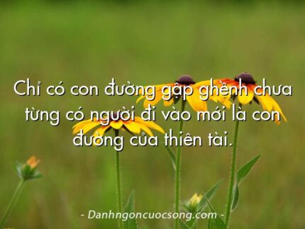 Chỉ có con đường gập ghềnh chưa từng có người đi vào mới là con đường của thiên tài.