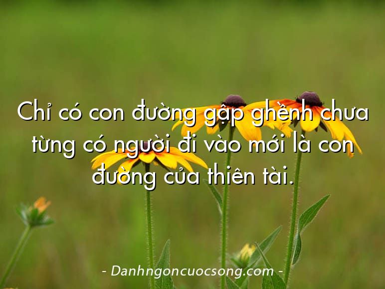 Chỉ có con đường gập ghềnh chưa từng có người đi vào mới là con đường của thiên tài.