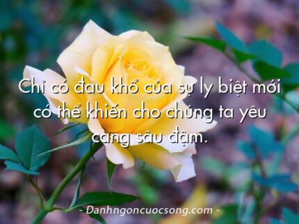 Chỉ có đau khổ của sự ly biệt mới có thể khiến cho chúng ta yêu càng sâu đậm.