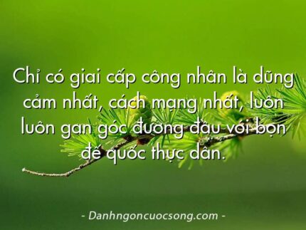 Chỉ có giai cấp công nhân là dũng cảm nhất, cách mạng nhất, luôn luôn gan góc đương đầu với bọn đế quốc thực dân.