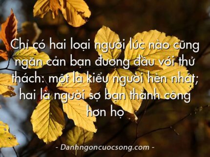 Chỉ có hai loại người lúc nào cũng ngăn cản bạn đương đầu với thử thách: một là kiểu người hèn nhát; hai là người sợ bạn thành công hơn họ