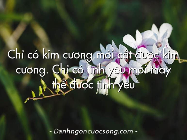 Chỉ có kim cương mới cắt được kim cương. Chỉ có tình yêu mới thay thế được tình yêu