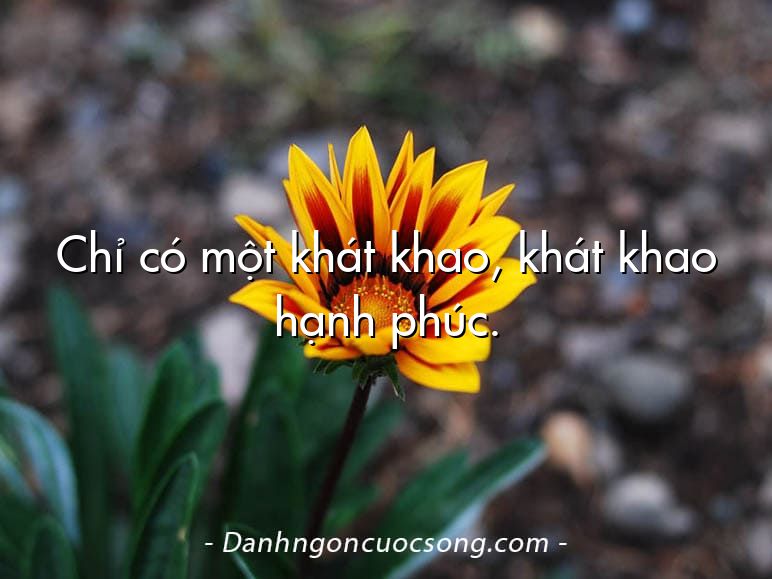 Chỉ có một khát khao, khát khao hạnh phúc.