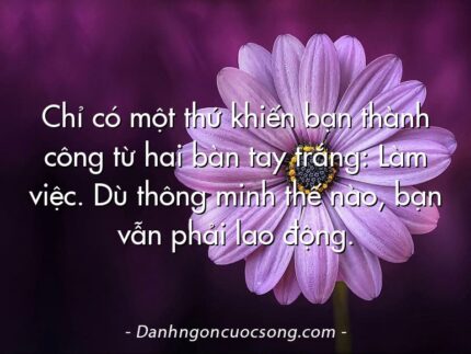 Chỉ có một thứ khiến bạn thành công từ hai bàn tay trắng: Làm việc. Dù thông minh thế nào, bạn vẫn phải lao động.