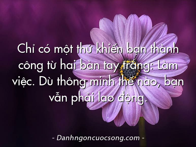 Chỉ có một thứ khiến bạn thành công từ hai bàn tay trắng: Làm việc. Dù thông minh thế nào, bạn vẫn phải lao động.
