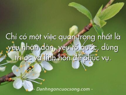 Chỉ có một việc quan trọng nhất là yêu nhân dân, yêu tổ quốc, dùng trí óc và linh hồn để phục vụ.
