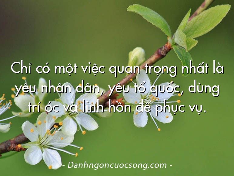Chỉ có một việc quan trọng nhất là yêu nhân dân, yêu tổ quốc, dùng trí óc và linh hồn để phục vụ.