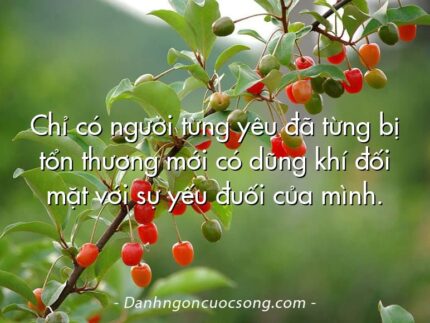 Chỉ có người từng yêu đã từng bị tổn thương mới có dũng khí đối mặt với sự yếu đuối của mình.