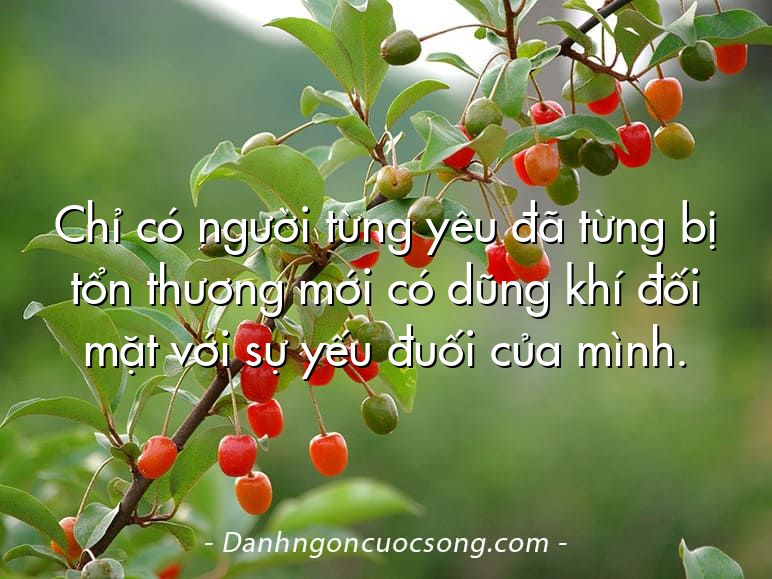Chỉ có người từng yêu đã từng bị tổn thương mới có dũng khí đối mặt với sự yếu đuối của mình.