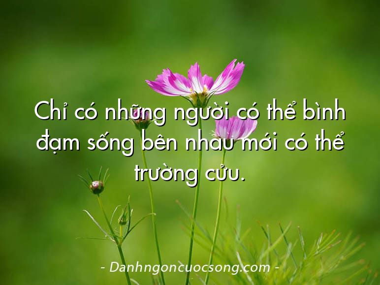 Chỉ có những người có thể bình đạm sống bên nhau mới có thể trường cửu.
