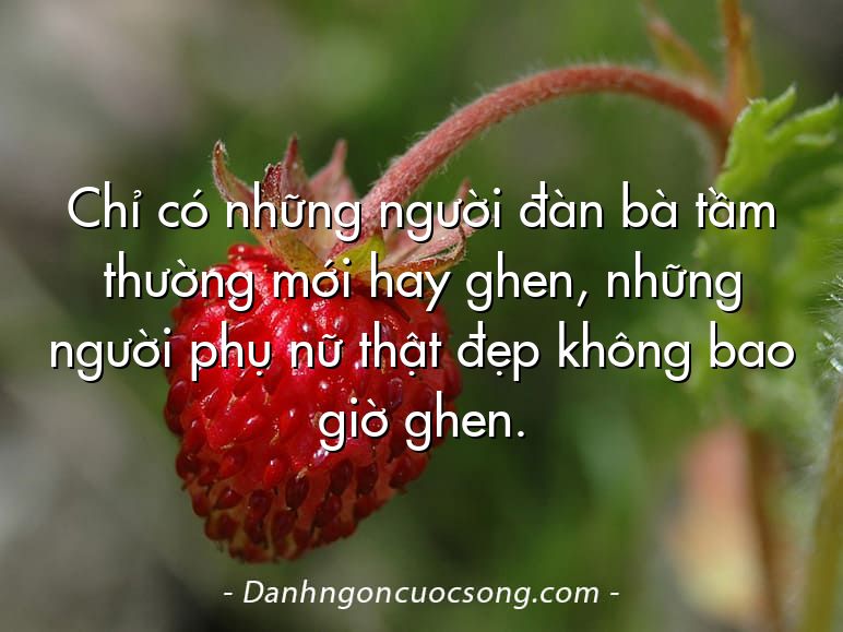 Chỉ có những người đàn bà tầm thường mới hay ghen, những người phụ nữ thật đẹp không bao giờ ghen.