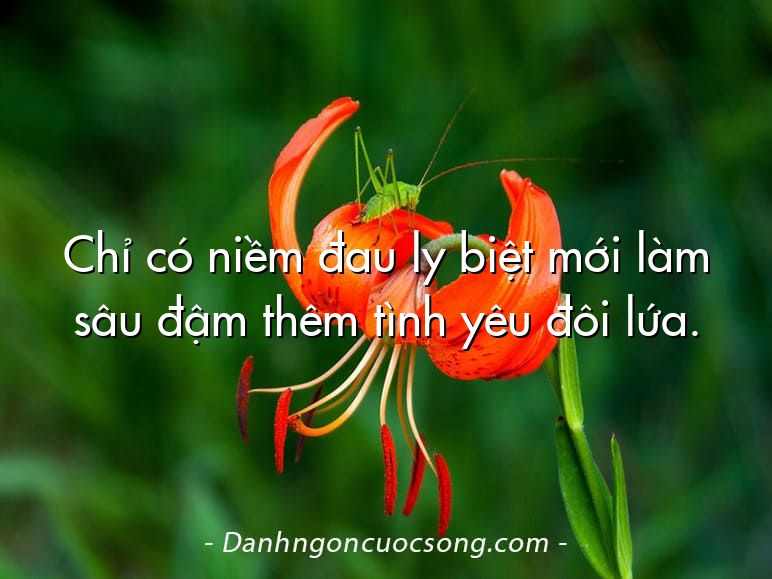 Chỉ có niềm đau ly biệt mới làm sâu đậm thêm tình yêu đôi lứa.  