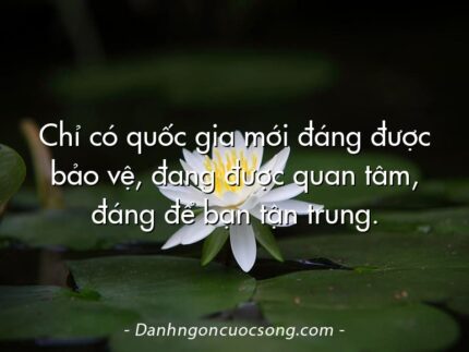 Chỉ có quốc gia mới đáng được bảo vệ, đang được quan tâm, đáng để bạn tận trung.