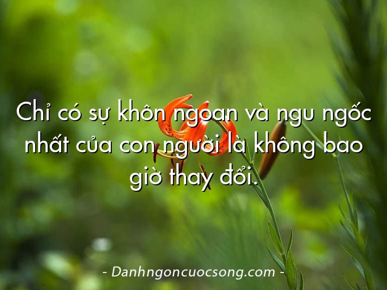 Chỉ có sự khôn ngoan và ngu ngốc nhất của con người là không bao giờ thay đổi.