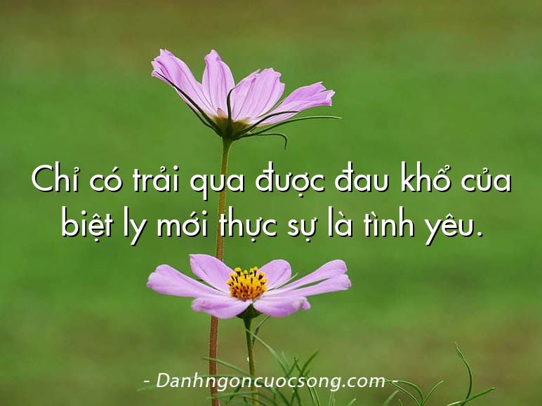 Chỉ có trải qua được đau khổ của biệt ly mới thực sự là tình yêu.