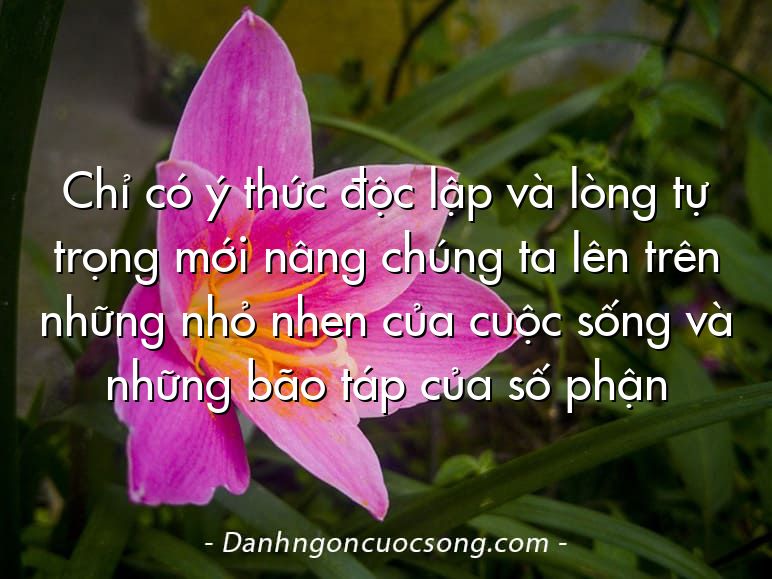 Chỉ có ý thức độc lập và lòng tự trọng mới nâng chúng ta lên trên những nhỏ nhen của cuộc sống và những bão táp của số phận