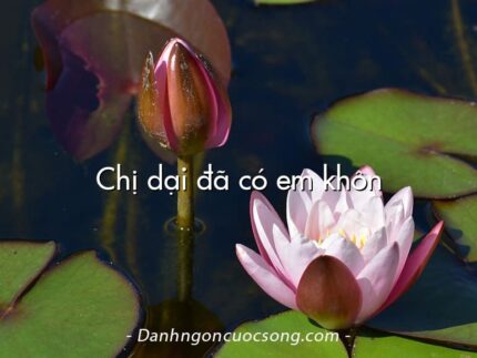 Chị dại đã có em khôn