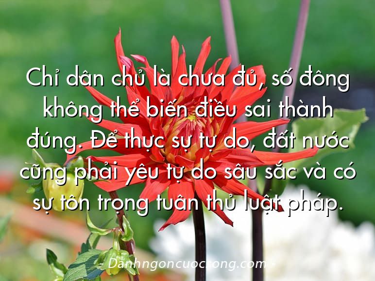 Chỉ dân chủ là chưa đủ, số đông không thể biến điều sai thành đúng. Để thực sự tự do, đất nước cũng phải yêu tự do sâu sắc và có sự tôn trọng tuân thủ luật pháp.