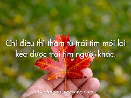 Chỉ điều thì thầm từ trái tim mới lôi kéo được trái tim người khác.