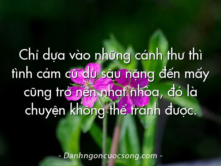 Chỉ dựa vào những cánh thư thì tình cảm cũ dù sâu nặng đến mấy cũng trở nên nhạt nhòa, đó là chuyện không thể tránh được.