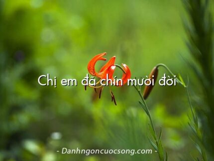 Chị em đã chín mười đời