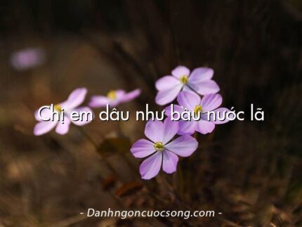 Chị em dâu như bầu nước lã