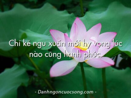 Chỉ kẻ ngu xuẩn mới hy vọng lúc nào cũng hạnh phúc.