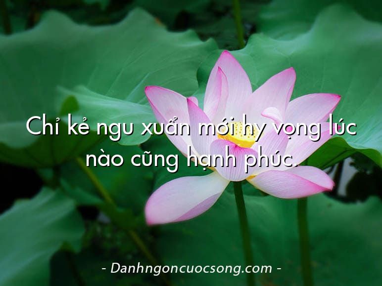 Chỉ kẻ ngu xuẩn mới hy vọng lúc nào cũng hạnh phúc.