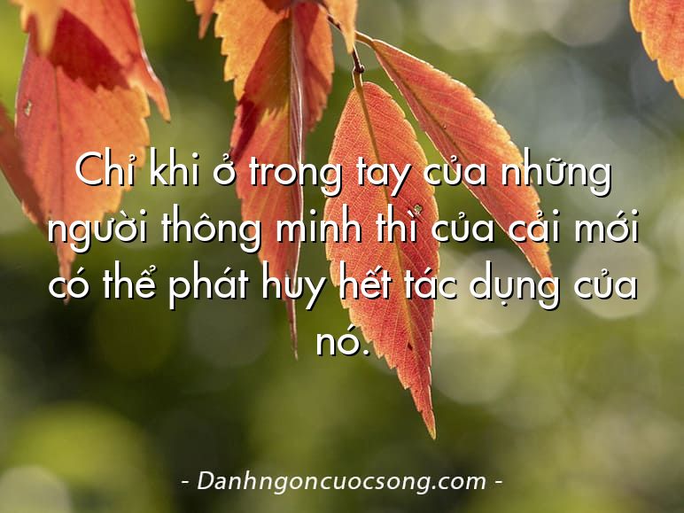 Chỉ khi ở trong tay của những người thông minh thì của cải mới có thể phát huy hết tác dụng của nó.