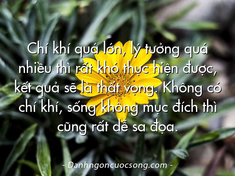 Chí khí quá lớn, lý tưởng quá nhiều thì rất khó thực hiện được, kết quả sẽ là thất vọng. Không có chí khí, sống không mục đích thì cũng rất dễ sa đọa.