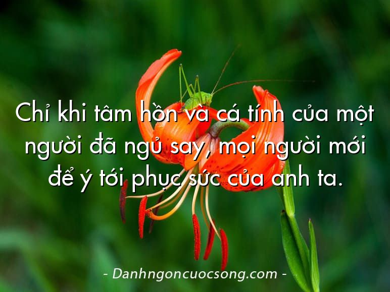 Chỉ khi tâm hồn và cá tính của một người đã ngủ say, mọi người mới để ý tới phục sức của anh ta.