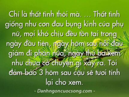 Chỉ là thất tình thôi mà. … Thất tình giống như cơn đau bụng kinh của phụ nữ, mọi khó chịu đều tồn tại trong ngày đầu tiên, ngày hôm sau nỗi đau giảm đi phân nửa, ngày thứ ba xem như chưa có chuyện gì xảy ra. Tôi đảm bảo 3 hôm sau cậu sẽ tươi tỉnh lại cho xem.